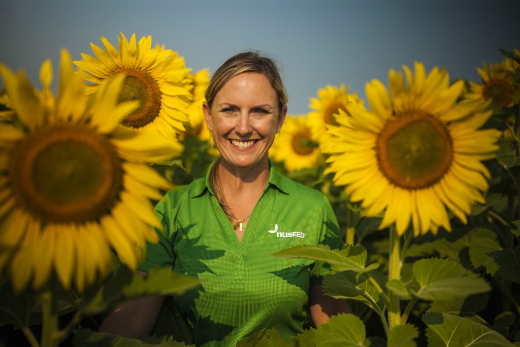 USA SUNFLOWER AdfarmBloomShoot T6K3995 170801 scaled