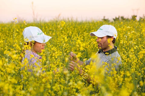 carinata field hats