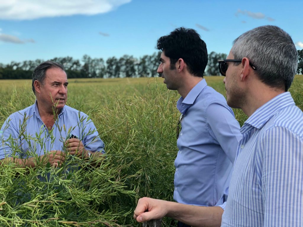 European End users see value in Nuseed Carinata