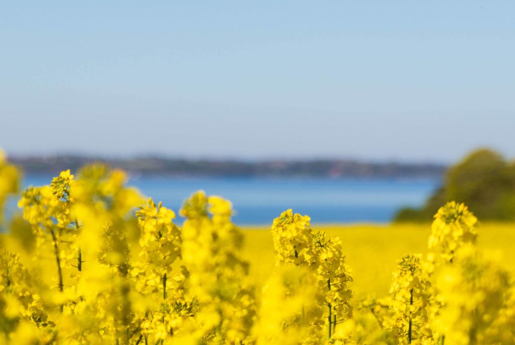 GAA Finalists- Canola - Aquaculture