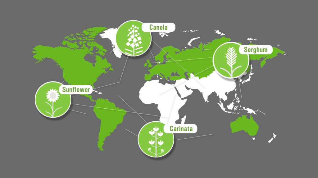 Better production, nutrition, environment equals better life - WorldFoodDay Image