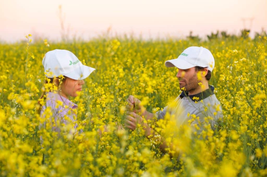 Value BEYOND YIELD® - Nuseed hats in Carinata field scaled