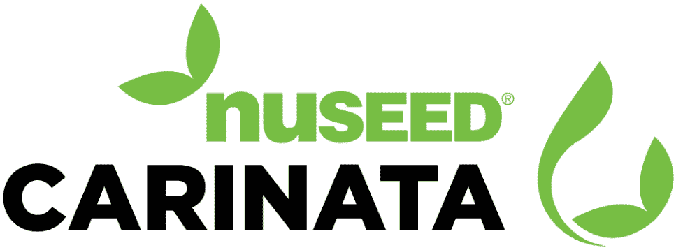 Home - nuseed carinata logo