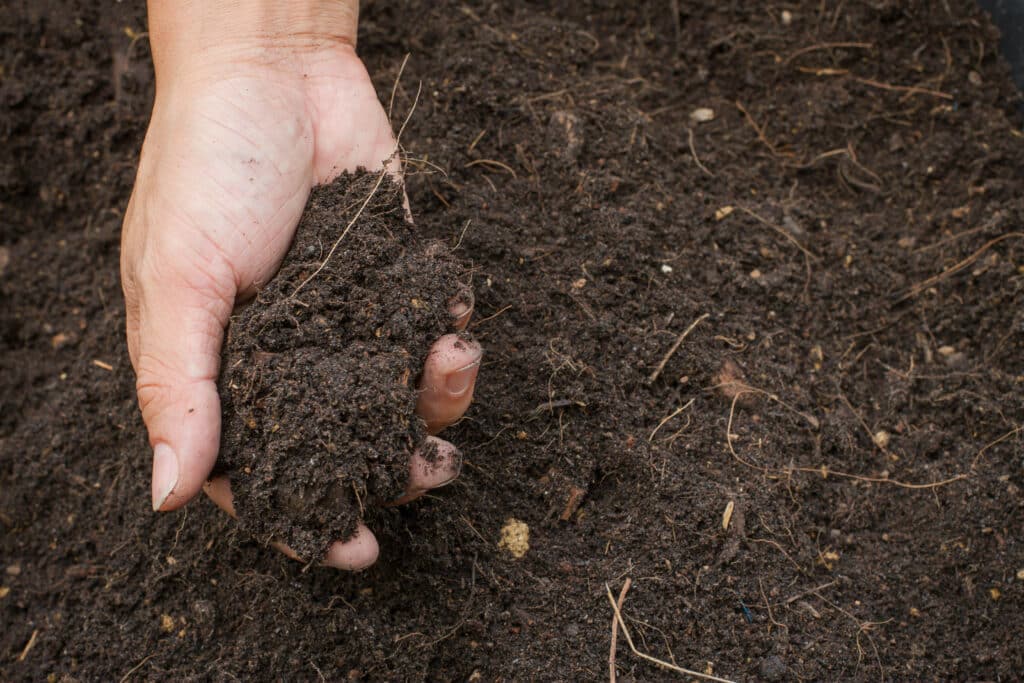 Restoring Soil Carbon is Critical - Global WorldSoilDay